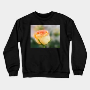 Single Rose Crewneck Sweatshirt